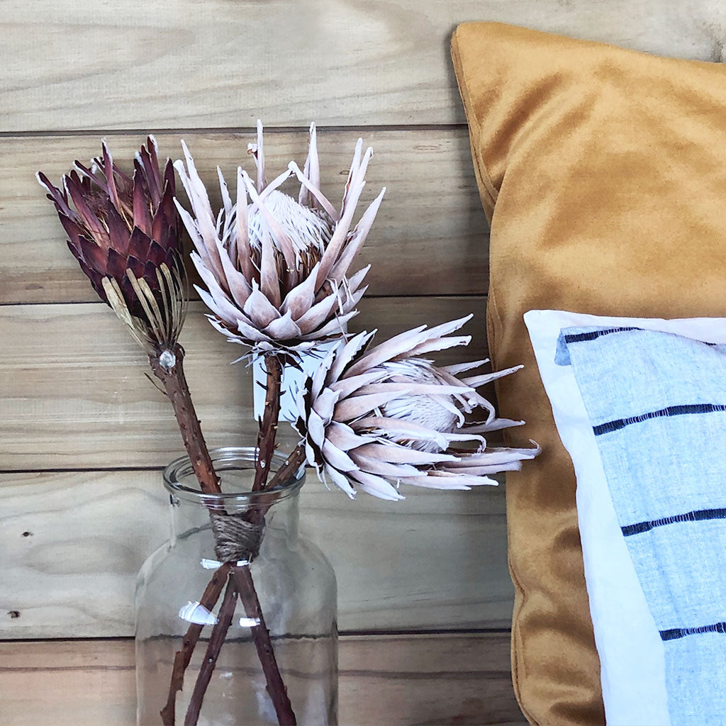 About Donna Hydes at Donna Hydes Interior Design